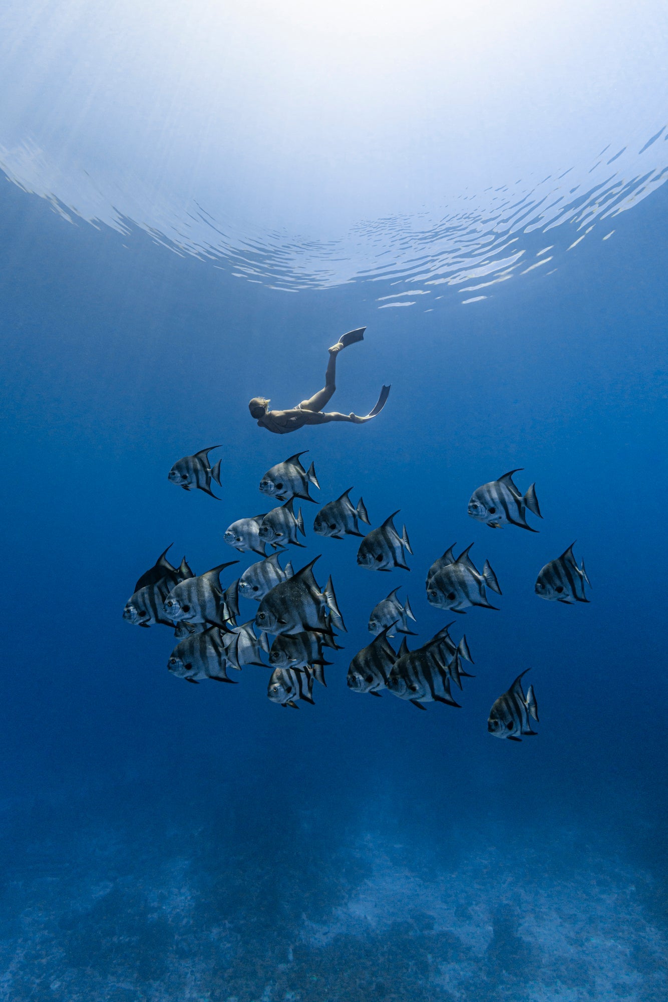 Freediving