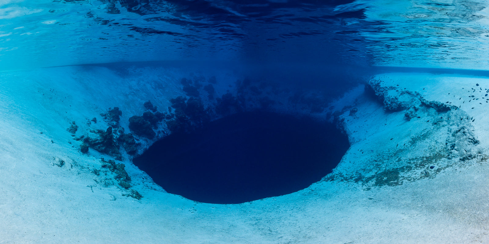 Dean Blue Hole Fine Art Bahamas Underwater Photography by André Musgrove