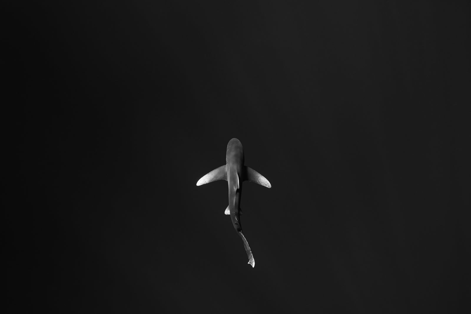 Deep Domain