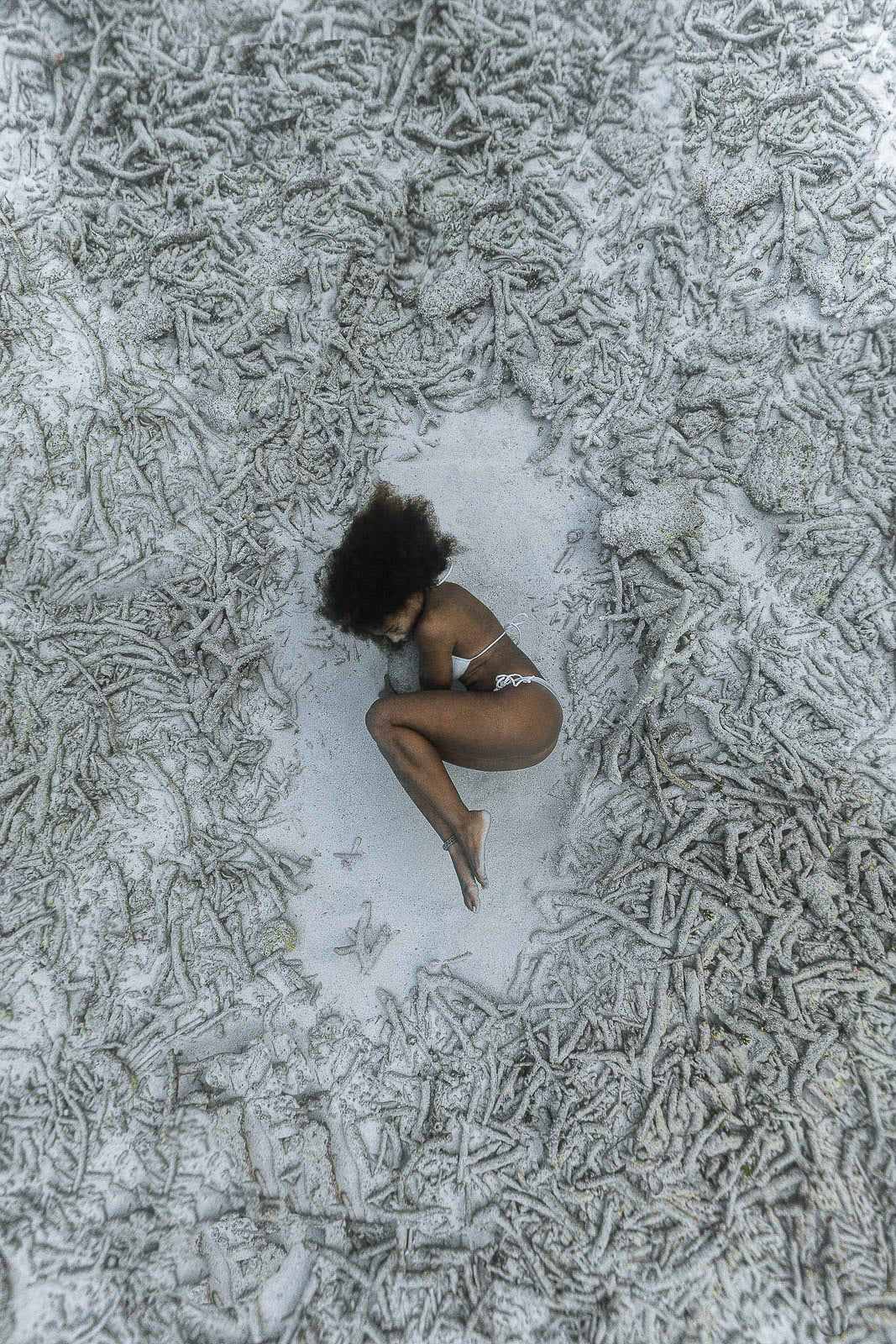 Dying Breed Fine Art Conceptual Art Underwater Photography by André Musgrove