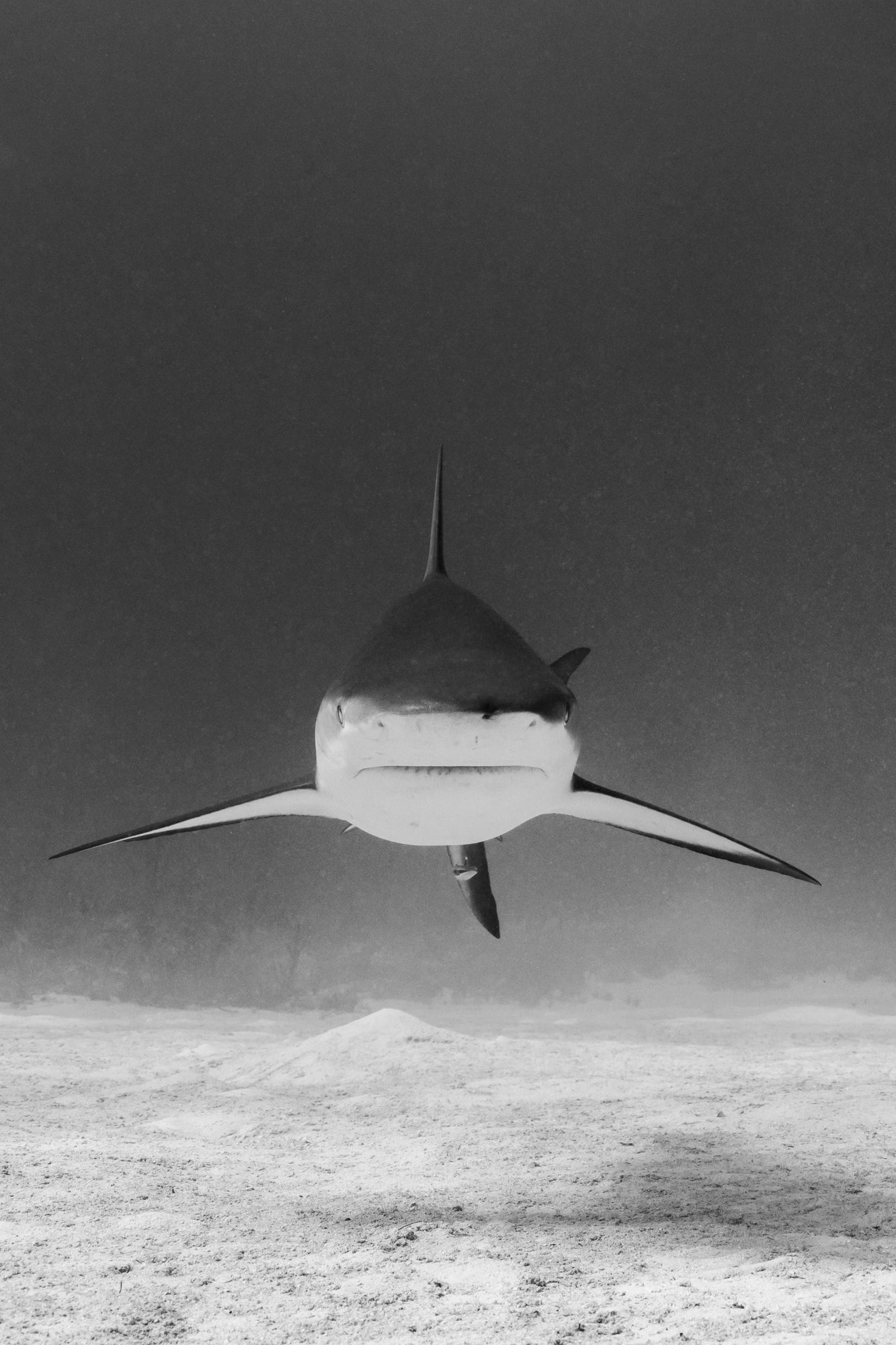 Glide