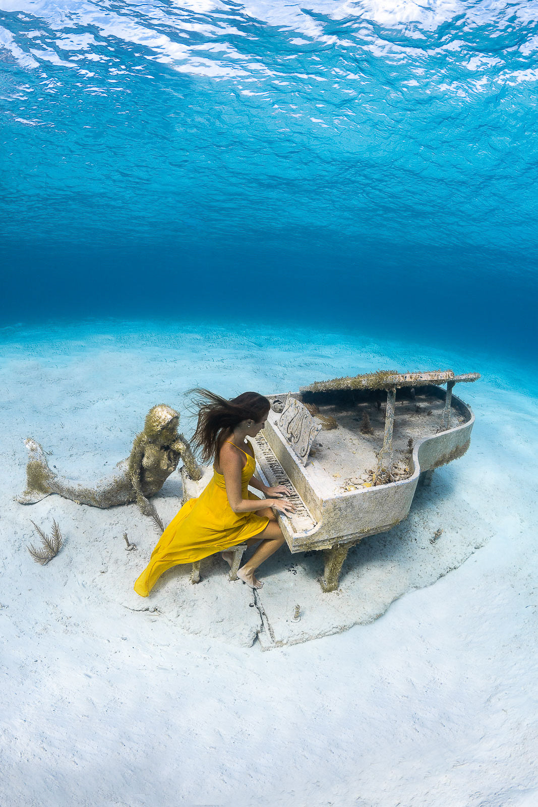 Middle Sea Note Fine Art Conceptual Art Underwater Photography by André Musgrove
