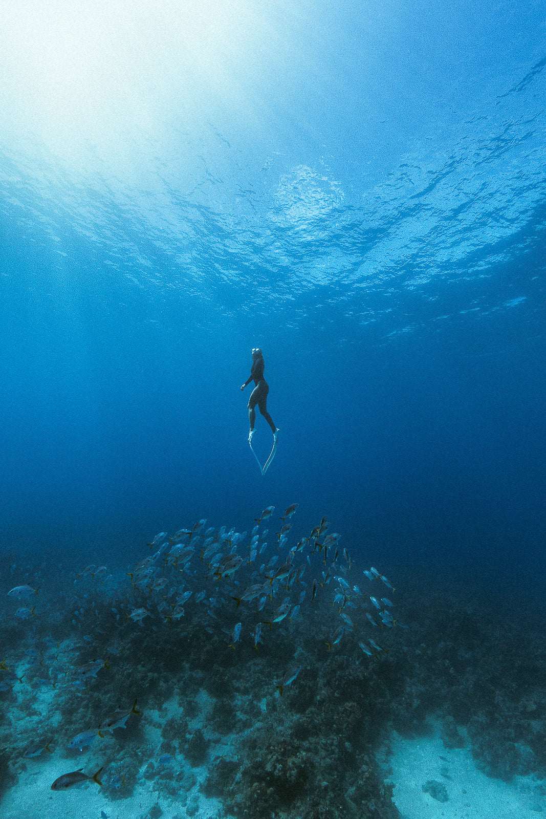 Ole School Fine Art Freediving Underwater Photography by André Musgrove