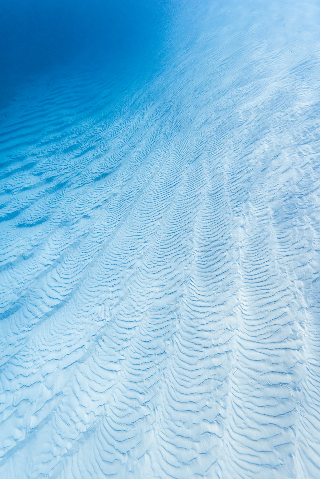 Powder Fine Art Bahamas Underwater Photography by André Musgrove