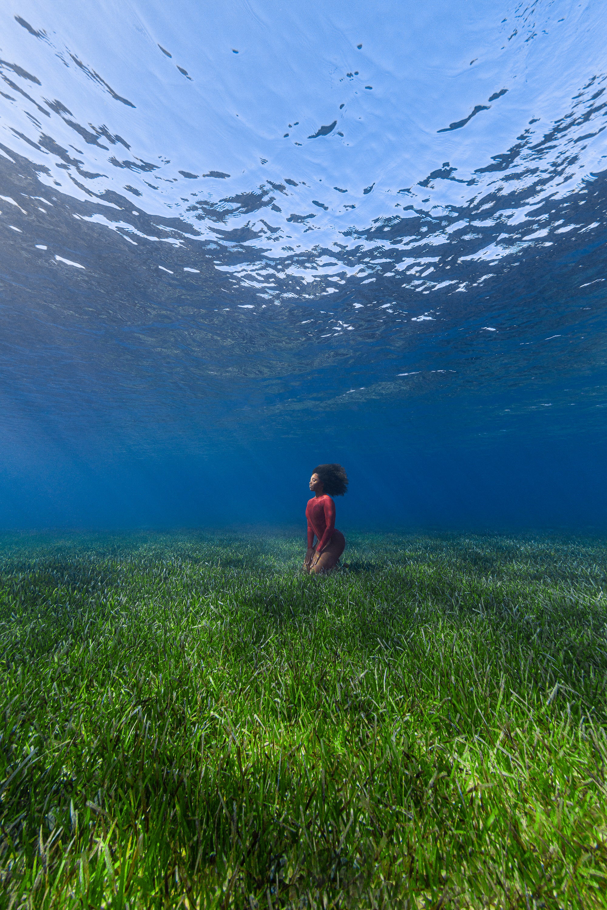 Wet Rose Fine Art Conceptual Art Underwater Photography by André Musgrove