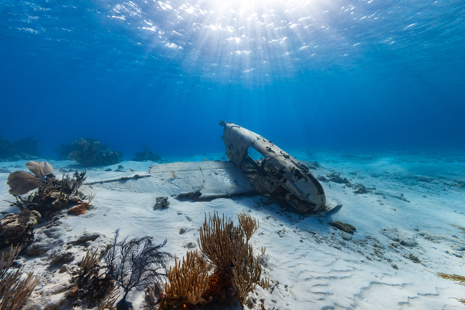 Blade Angle Fine Art Exuma Bahamas Underwater Photography by André Musgrove