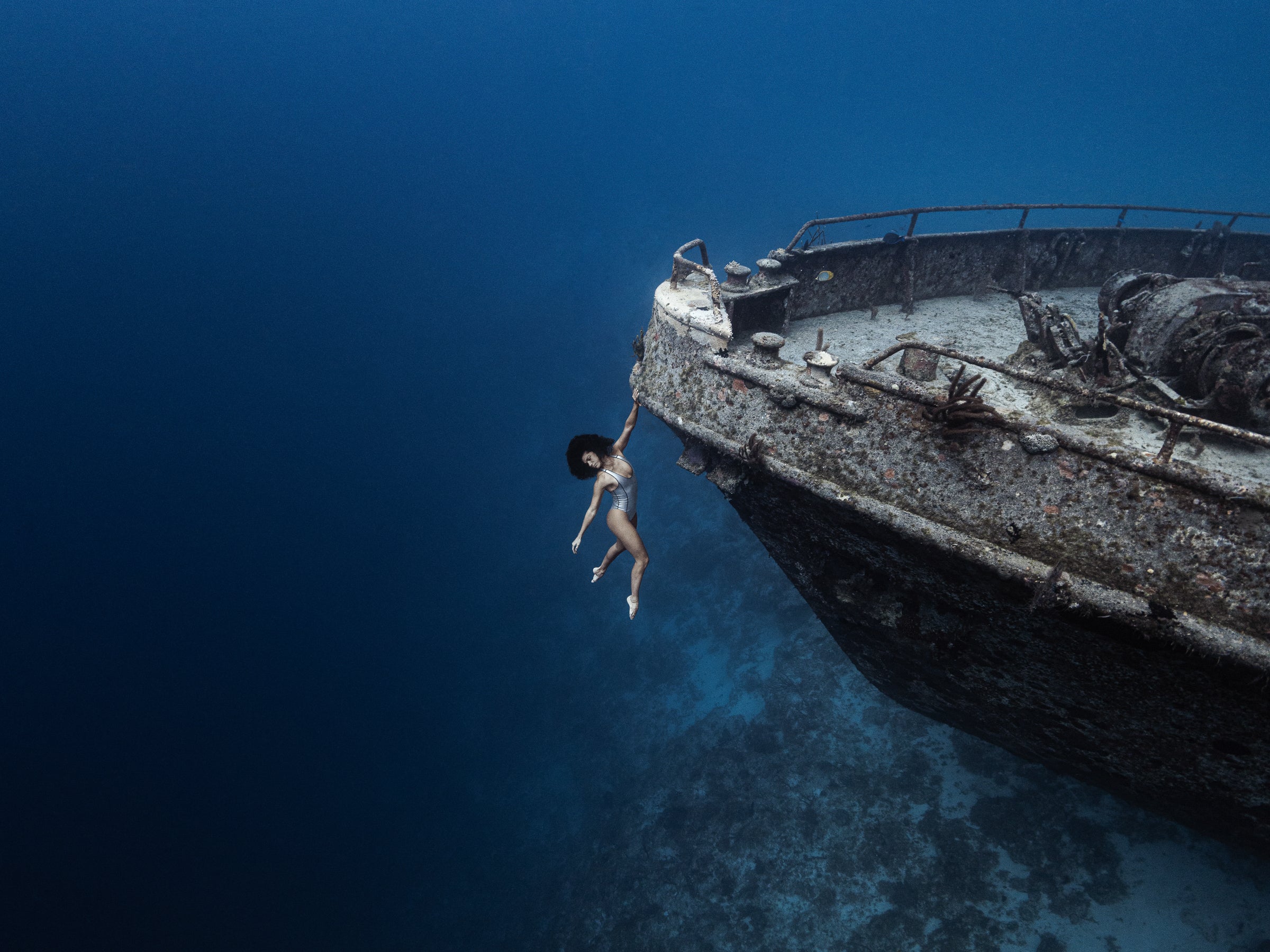 Madi Rueve Marine World Collection | Limited Edition | Fine Art Underwater ...