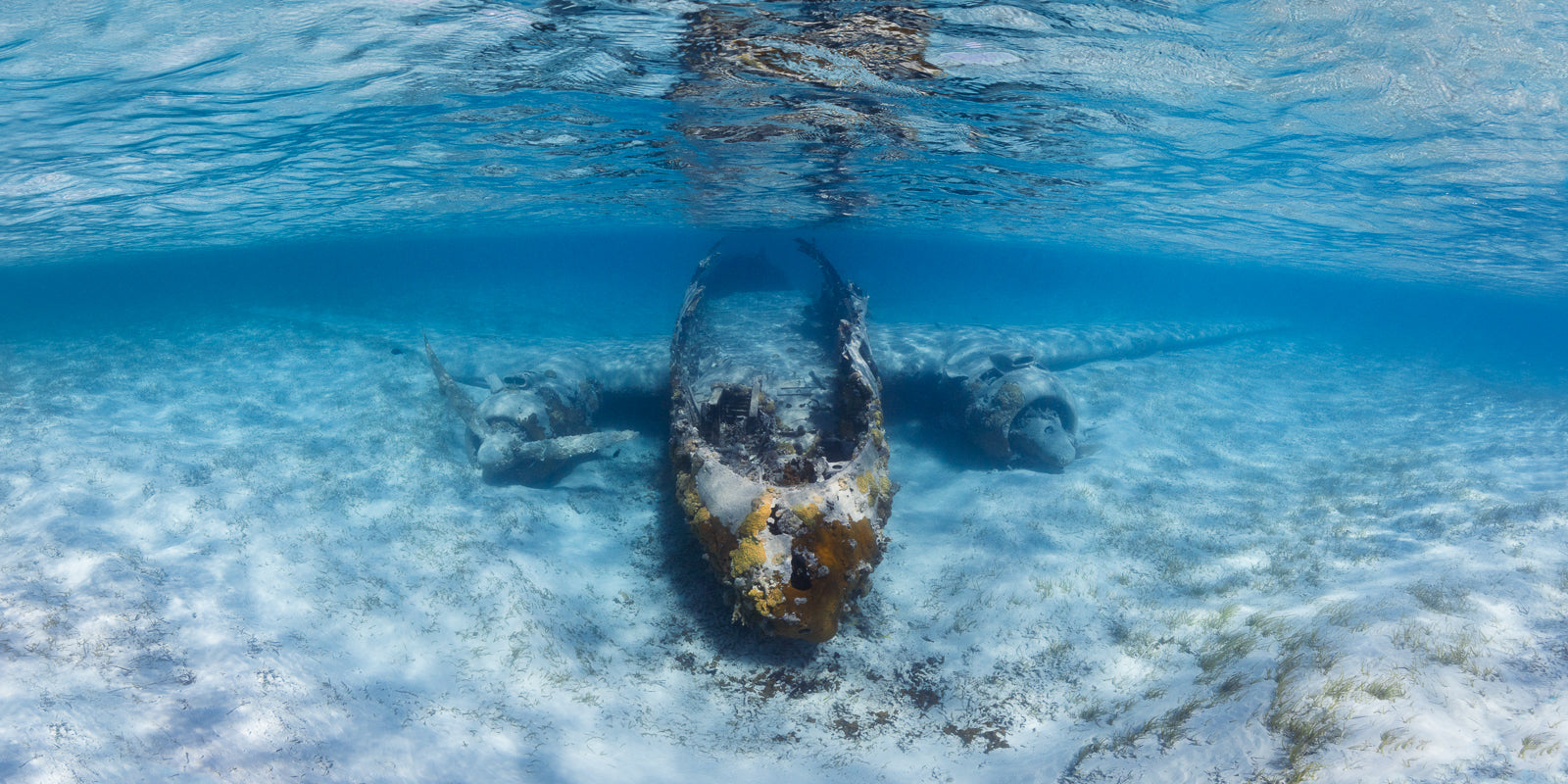 Grounded Flight Fine Art Exuma Bahamas Underwater Photography by André Musgrove