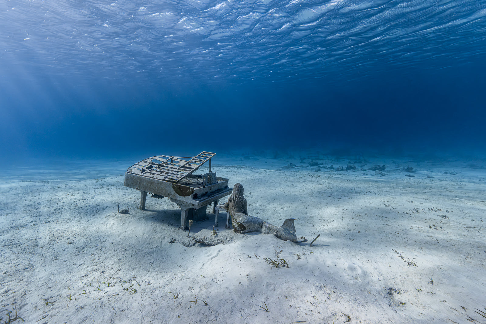 Mermaids Rest Fine Art Exuma Bahamas Underwater Photography by André Musgrove