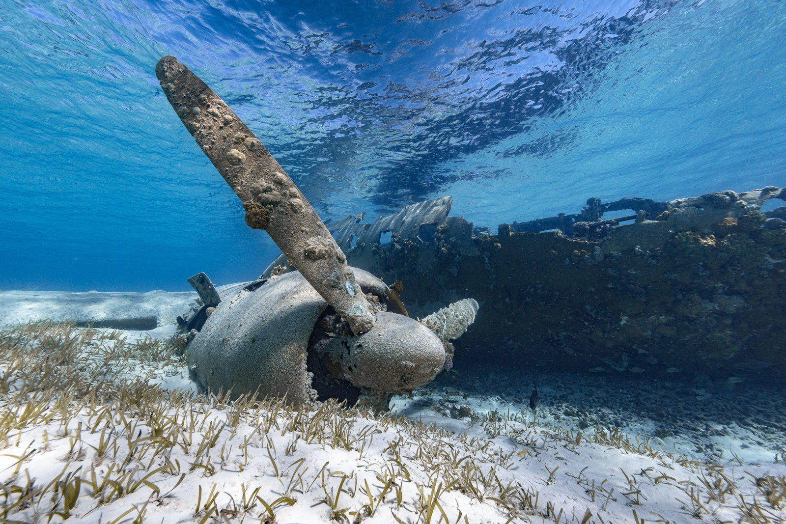Prop Wash Fine Art Exuma Bahamas Underwater Photography by André Musgrove