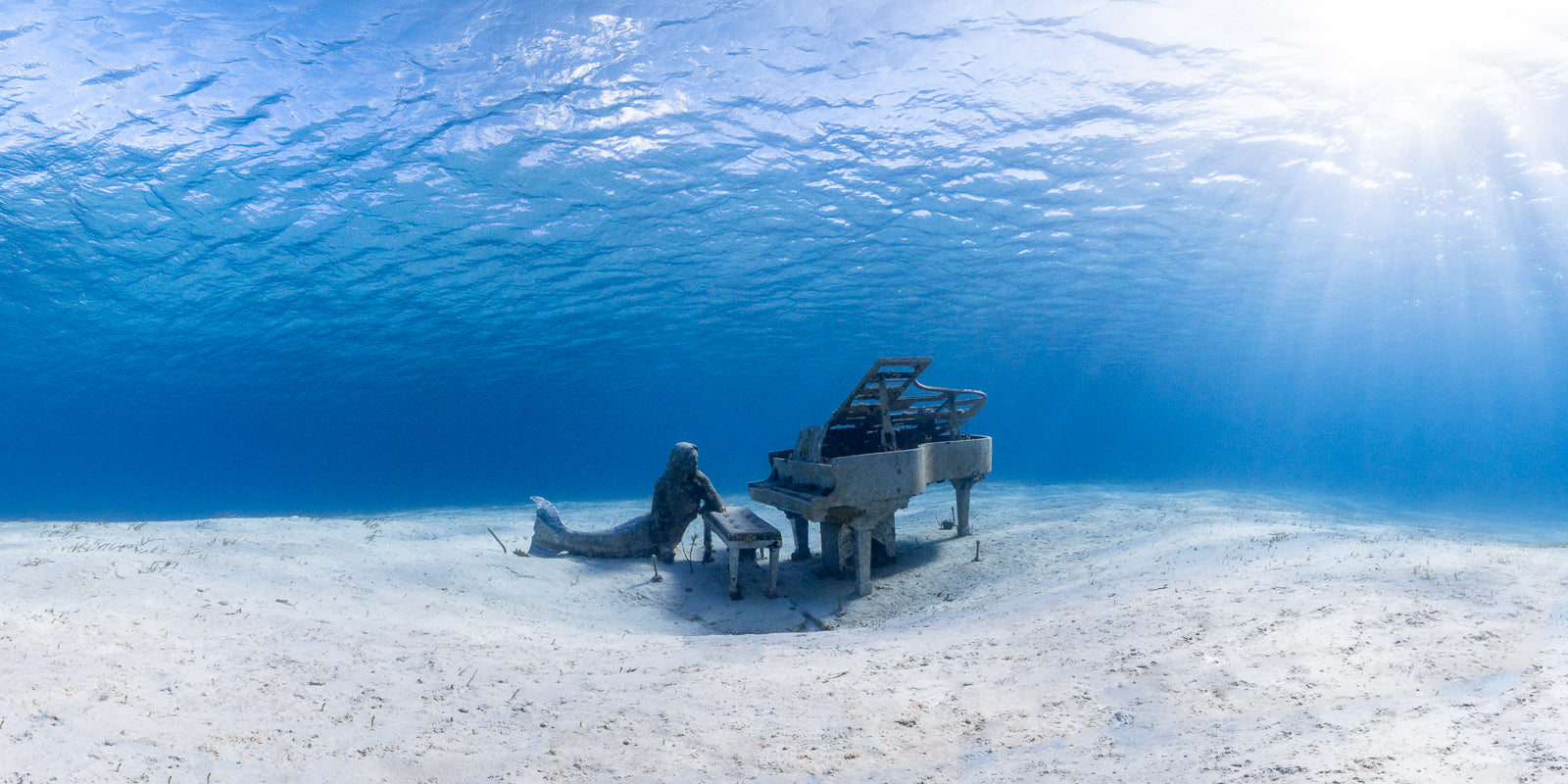 The Musician Fine Art Exuma Bahamas Underwater Photography by André Musgrove