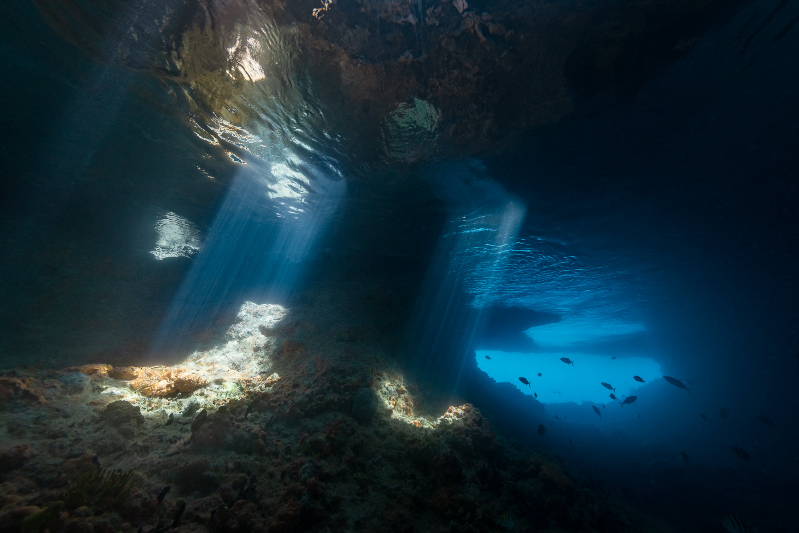 Thunderball Grotto Fine Art Exuma Bahamas Underwater Photography by André Musgrove